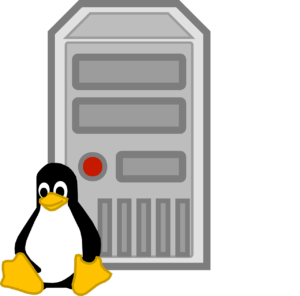 computer, server, workstation-159837.jpg